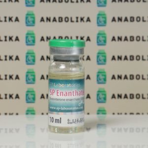 Verpackung SP Enanthate (Testosteron Enanthate) 500 mg SP Laboratories
