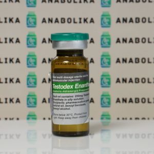 Verpackung Testodex Enanthate 250 mg Sciroxx