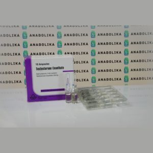 Verpackung Testosterone Enanthate 250 mg Aburaihan