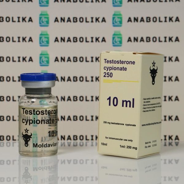 Verpackung Testosterone cypionate 250 mg Moldavian Pharma