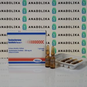 Verpackung Testosterone Enanthate 250 mg Norma Hellas